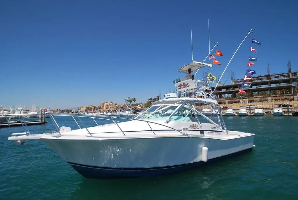 3Bd Ocean Penthouse Villa Del Palmar Cabo San Lucas